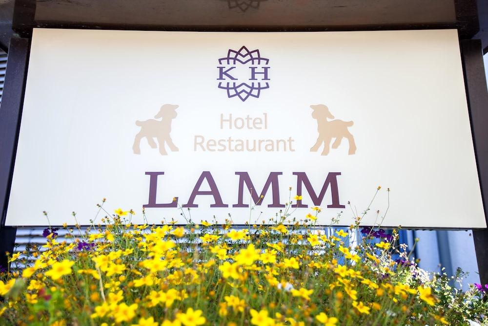 Hotel Lamm โอสต์ฟิลเดิร์น ภายนอก รูปภาพ